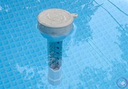 Градусник (термометр) для воды бассейна Intex 29039 - фото 164766