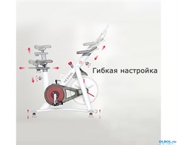 Спин-байк DFC OVICX B-Q210W - фото 183355 Спин-байк DFC OVICX B-Q210W - фото 183355