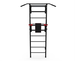 Шведская стенка + турник + брусья DFC D-123 - фото 190071