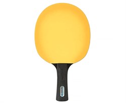 Ракетка DONIC COLOR Z YELLOW / 703023 - фото 194136
