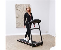 Беговая дорожка DFC BERIT T-107 - фото 195771 Беговая дорожка DFC BERIT T-107 - фото 195771