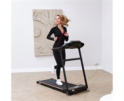 Беговая дорожка DFC BERIT T-107 - фото 195774 Беговая дорожка DFC BERIT T-107 - фото 195774