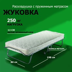 Раскладушка Жуковка NEW с пружинным матрасом 12 см (198х80х40см) - фото 196695