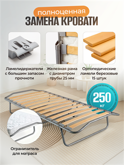 Раскладушка Персона премиум класса  с ортопедическим матрасом (205x90x40см) - фото 196910