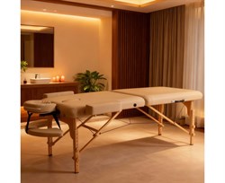 Массажный стол DFC PROFI3 TS312H складной / 220 х 90 х 91 см - фото 197084