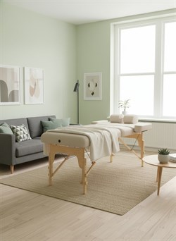 Массажный стол DFC PROFI2 TS212H складной / 220 х 90 х 88 см - фото 197170