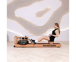 Гребной тренажер DFC SmartGym WR-02 - фото 197182