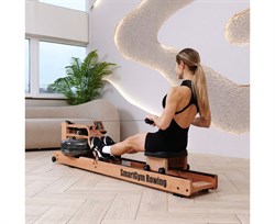 Гребной тренажер DFC SmartGym WR-02 - фото 197192