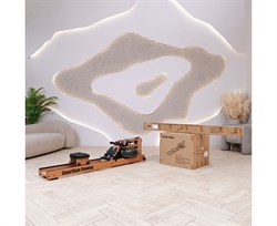 Гребной тренажер DFC SmartGym WR-02 - фото 197200