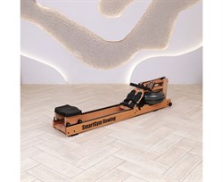 Гребной тренажер DFC SmartGym WR-02 - фото 197201