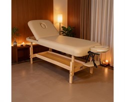 Массажный стационарный стол DFC SUPERIOR2 TS200/2 с регулировкой для спины/ног / 192х71х88 см - фото 197229