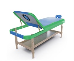 Массажный стационарный стол DFC NIRVANA, SUPERIOR2, дерев. ножки, 2 секции, цвет бирюз.с зелен. TS200 / 192х71х86 см - фото 197304