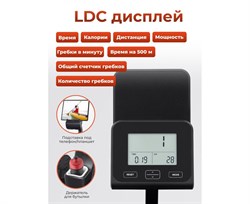 Гребной тренажер DFC ECHANFIT, складной CRW4107A-N - фото 197313