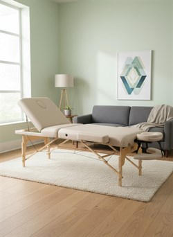 Массажный стол DFC PROFI3 TS312H складной / 220 х 90 х 91 см - фото 197361