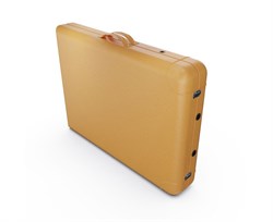 Массажный стол DFC NIRVANA, Elegant LUXE, 186х70х4 см, алюм. ножки, цвет горчичный (Mustard),  TS2010_M / 186х70х84 см - фото 197375