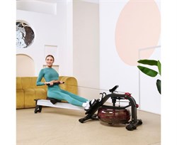 Водный гребной тренажер DFC PoMt PMWR2020 - фото 197387