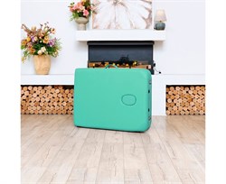 Массажный стол DFC NIRVANA, Optima, дерев. ножки, цвет зеленый (Green), TS20110S_Gr / 213х81х83 см - фото 197420