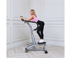 Степпер с поручнями DFC SC-S5901 - фото 197790