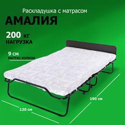 Двухспальная раскладушка Амалия с матрасом 190x120 ВЕНГЕ - фото 198532