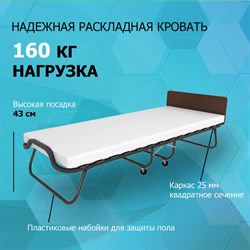 Раскладушка с матрасом Элеонора ПРЕМИУМ 90х200 см (дуб) - фото 198705
