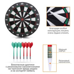 Дартс DFC BASEBOARD, 6 дротиков DARDBE20 - фото 200413