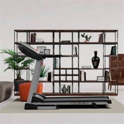 Беговая дорожка DFC WALKER EVO PRO для реабилитации T-S1 PRO - фото 200493