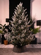 Искусственная елка Adele Plus Заснеженная 150 см с подсветкой 270 led