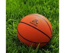 Баскетбольный мяч DFC BALL7R 7" резина Баскетбольный мяч DFC BALL7R 7" резина