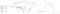 Раскладушка Даметекс Элеонора-М с матрасом  (200x90x43см)  ВЕНГЕ - фото 160536