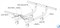 Раскладушка Даметекс Эльвира с матрасом  (199.5х90х44) - фото 160698