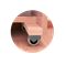 Деревянная ортопедическая раскладушка Основа сна (ВЕНГЕ) (190x80х43см)+чехол+ремешок - фото 163208