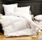 Одеяло Легкие сны Лоретта теплое - 98% пуха, 2% пера - фото 165778