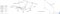 Раскладушка Даметекс Элеонора-М с матрасом   (200x90x43см) - фото 166767