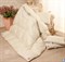 Одеяло Легкие сны Камелия теплое - 85% пуха, 15% пера - фото 169487