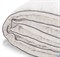 Одеяло Легкие сны Элисон теплое - микроволокно "Лебяжий пух" - 100% - фото 169533