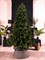 Искусственная елка Премиум Зеленая 120 см - фото 184013