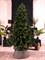 Искусственная елка Премиум Зеленая 180 см - фото 184021