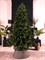 Искусственная елка Премиум Зеленая 250 см - фото 184029