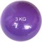 MB3 Медбол 3 кг., d-15см. (фиолетовый) (E41878) - фото 188320