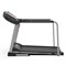 Беговая дорожка DFC WALKER EVO PRO для реабилитации T-S1 PRO - фото 200483