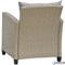 Плетеный комплект мебели с диваном из искусственного ротанга AFM-804B Beige - фото 202693